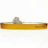 Executive Boardroom Smart Identifier