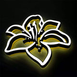 LED Rimless Letter Illuminated Store Front Building Signage